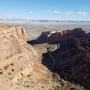 Meet your Posher, Lester